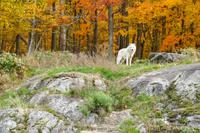 Tag 6 – Besuch Omega-Wildlife-Park (38) &ndash; &copy; Alexander Zachow (Eberhardt TRAVEL)