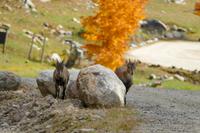 Tag 6 – Besuch Omega-Wildlife-Park (39) &ndash; &copy; Alexander Zachow (Eberhardt TRAVEL)