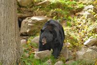 Tag 6 – Besuch Omega-Wildlife-Park (42) &ndash; &copy; Alexander Zachow (Eberhardt TRAVEL)