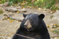 Tag 6 – Besuch Omega-Wildlife-Park (45) &ndash; &copy; Alexander Zachow (Eberhardt TRAVEL)