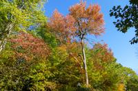 Tag 7– Stadtrundfahrt Montreal (11) &ndash; &copy; Alexander Zachow (Eberhardt TRAVEL)