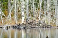 Tag 8 – Freiyeit am Lac Taureau (5) &ndash; &copy; Alexander Zachow (Eberhardt TRAVEL)
