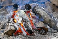 Tag 8 – Freiyeit am Lac Taureau (8) &ndash; &copy; Alexander Zachow (Eberhardt TRAVEL)