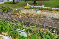 Tag 11 – Quebec-City (20) &ndash; &copy; Alexander Zachow (Eberhardt TRAVEL)