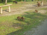 zu Besuch im Omega-Park &ndash; &copy; Ralf Mehnert (Eberhardt TRAVEL)
