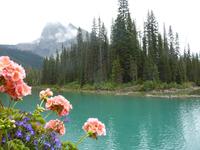 Emerald Lake &ndash; &copy; Ralf Mehnert (Eberhardt TRAVEL)