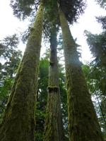 Pacific Rim NP &ndash; &copy; Ralf Mehnert (Eberhardt TRAVEL)