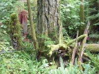 Pacific Rim NP &ndash; &copy; Ralf Mehnert (Eberhardt TRAVEL)