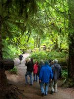 Pacific Rim Nationalpark &ndash; &copy; Heiner Preiss (Eberhardt TRAVEL)
