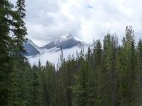 P1020329-Yoho Nationalpark &ndash; &copy; Linda Hartge (Eberhardt TRAVEL)