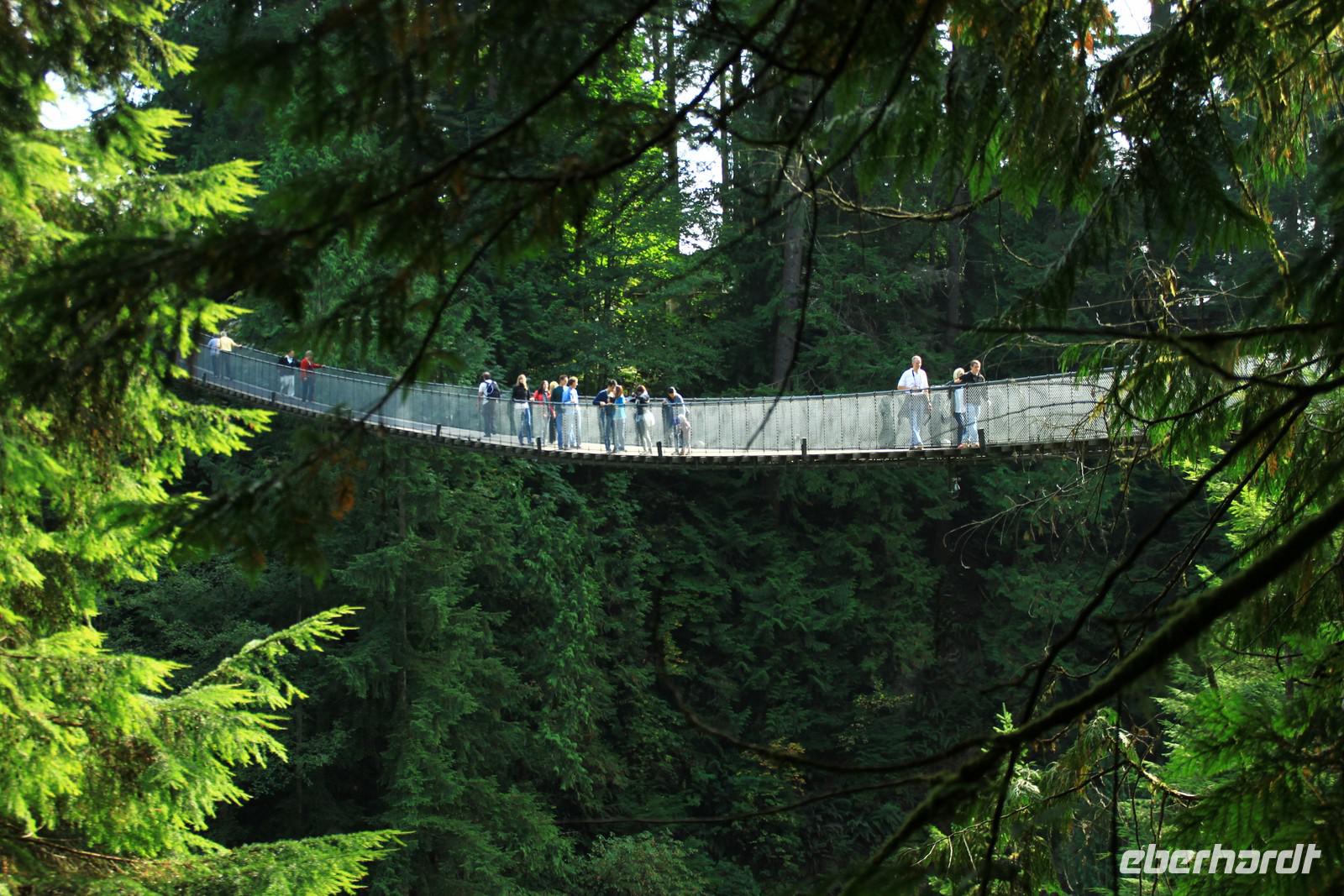 Die Capilano Suspension Bridge &ndash; &copy; Denise Hartmann (Eberhardt TRAVEL)