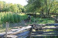 Upper Canada Village &ndash; &copy; Denise Hartmann (Eberhardt TRAVEL)