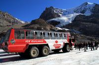 Am Columbia Icefield &ndash; &copy; Denise Hartmann (Eberhardt TRAVEL)