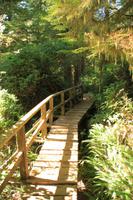 Im Regenwald &ndash; &copy; Denise Hartmann (Eberhardt TRAVEL)