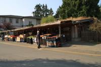 Coombs Market &ndash; &copy; Denise Hartmann (Eberhardt TRAVEL)