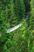 Capilano Suspension Bridge &ndash; &copy; Denise Hartmann (Eberhardt TRAVEL)