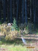 Gut versteckt &ndash; &copy; Johanna Vogt (Eberhardt TRAVEL)