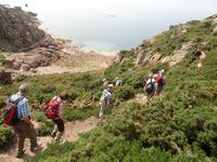 Jersey 2011 &ndash; &copy; Beate Keßler (Eberhardt TRAVEL)