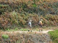 Jersey 2011 &ndash; &copy; Beate Keßler (Eberhardt TRAVEL)