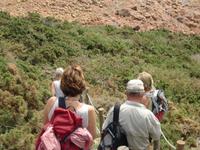 Jersey 2011 &ndash; &copy; Beate Keßler (Eberhardt TRAVEL)