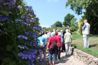 IMG_1477_Im Privatgarten der Lady Gathery &ndash; &copy; Alice Teipelke (Eberhardt TRAVEL)