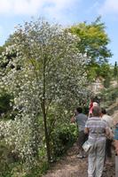 IMG_1482_Im Privatgarten der Lady Gathery &ndash; &copy; Alice Teipelke (Eberhardt TRAVEL)