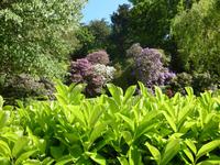 Traumhafter Garten in Rozel &ndash; &copy; Kristin Weigel (Eberhardt TRAVEL)