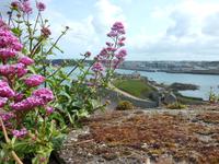 Besichtigung der Festung Elizabeth Castle in St. Helier &ndash; &copy; Kristin Weigel (Eberhardt TRAVEL)