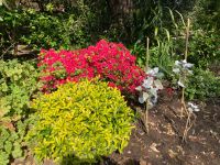 Gartentour Jersey &ndash; &copy; Peggy Schkade (Eberhardt TRAVEL)