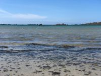 Am Strand von Havre des Pas (2).jpeg &ndash; &copy; Annika Lembke (Eberhardt TRAVEL)