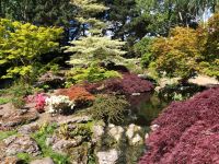 Botanischer Garten Samarès Manor (11).jpeg &ndash; &copy; Annika Lembke (Eberhardt TRAVEL)