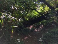 Botanischer Garten Samarès Manor (15).jpeg &ndash; &copy; Annika Lembke (Eberhardt TRAVEL)