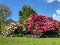 Botanischer Garten Samarès Manor (19).jpeg &ndash; &copy; Annika Lembke (Eberhardt TRAVEL)
