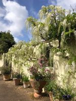 Gartentour Privatgarten 1 (3).jpeg &ndash; &copy; Annika Lembke (Eberhardt TRAVEL)