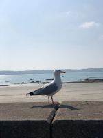 St. Aubins Bay.jpeg &ndash; &copy; Annika Lembke (Eberhardt TRAVEL)