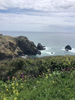 Steilküste Guernsey (5).jpeg &ndash; &copy; Annika Lembke (Eberhardt TRAVEL)