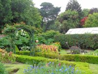Jersey - Privatgarten  &ndash; &copy; Martina Häselbarth (Eberhardt TRAVEL)
