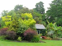 Jersey - Privatgarten  &ndash; &copy; Martina Häselbarth (Eberhardt TRAVEL)