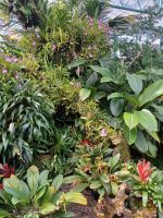 Eric Young Orchid Foundation &ndash; &copy; Barbara Pflicke (Eberhardt TRAVEL)
