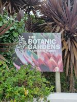 im Botanischen Garten