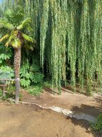 20220909_101236.jpg &ndash; &copy; Barbara Pflicke (Eberhardt TRAVEL)