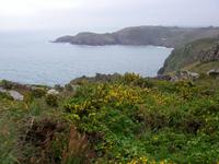 Plémont Bay  &ndash; &copy; Nadine Schulz (Eberhardt TRAVEL)