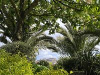 Guernsey &ndash; &copy; Anne Fohlert (Eberhardt TRAVEL)