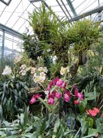 Eric Young Orchid Foundation &ndash; &copy; Anne Fohlert (Eberhardt TRAVEL)
