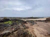 Ebbe in Gorey &ndash; &copy; Anne Fohlert (Eberhardt TRAVEL)