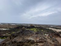 Ebbe in Gorey &ndash; &copy; Anne Fohlert (Eberhardt TRAVEL)