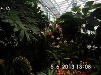 In der Orchid Foundation &ndash; &copy; Elke Storch (Eberhardt TRAVEL)