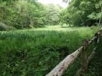 Natur pur &ndash; &copy; Cindy Streidt (Eberhardt TRAVEL)