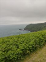 Giffard Bay