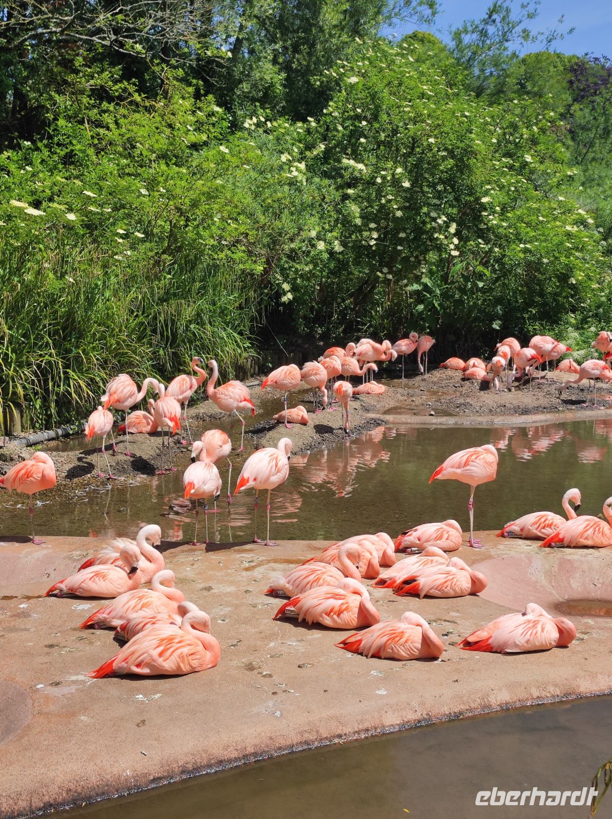 Jersey Zoo &ndash; &copy; Sten Bernhardt (Eberhardt TRAVEL)